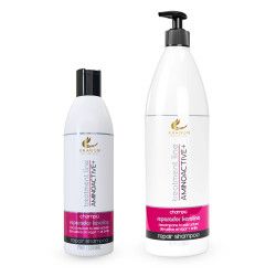 Champú Ritual Reparador Queratina Aminoactive+