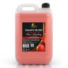 Champú Neutro Fresa